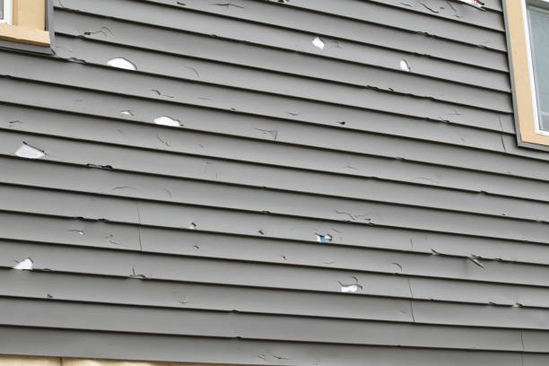 Best Steel Siding Installation  in Mississippi State, MS